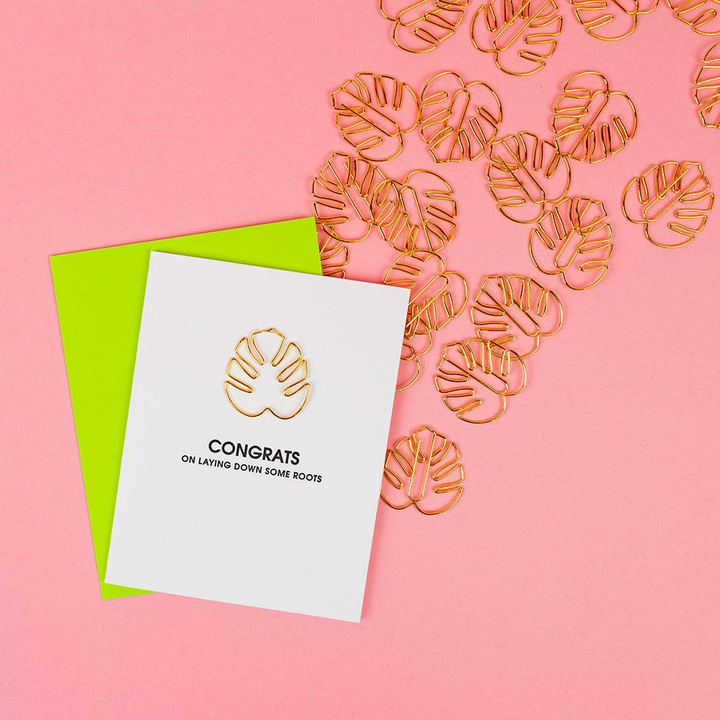 New House Cards