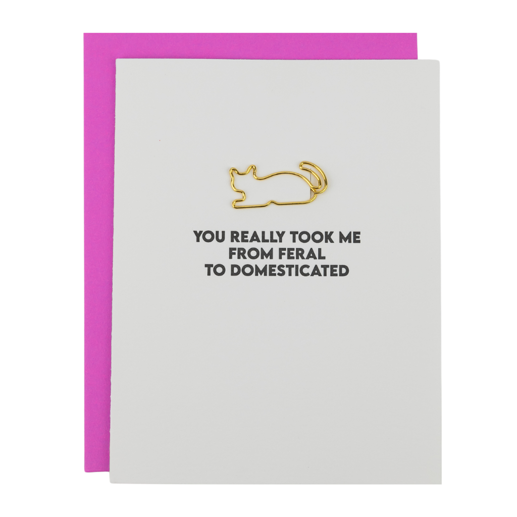 You Took Me From Feral To Domesticated - Cat Paperclip Card