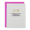 You Took Me From Feral To Domesticated - Cat Paperclip Card