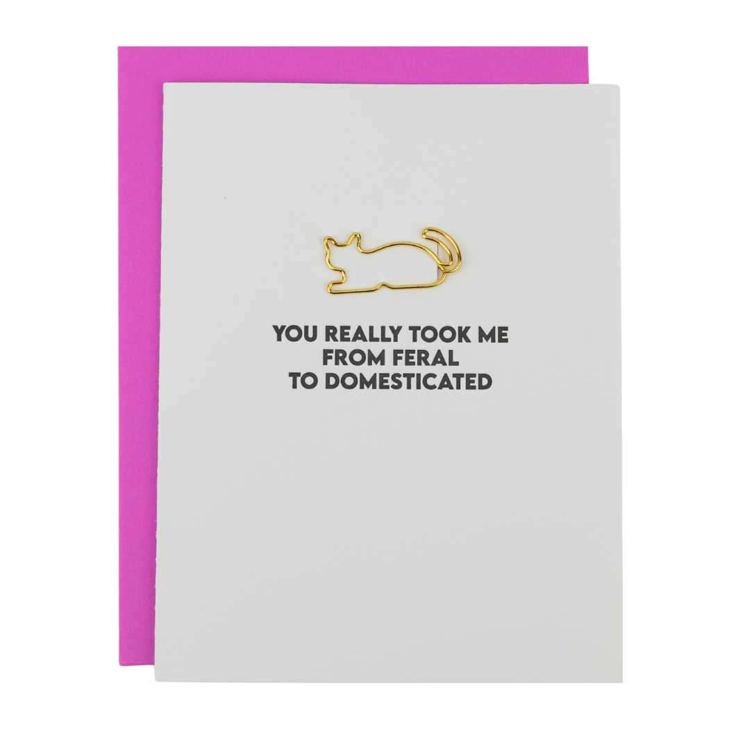 You Took Me From Feral To Domesticated - Cat Paperclip Card