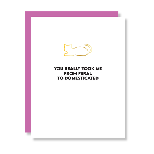 You Took Me From Feral To Domesticated - Cat Paperclip Card