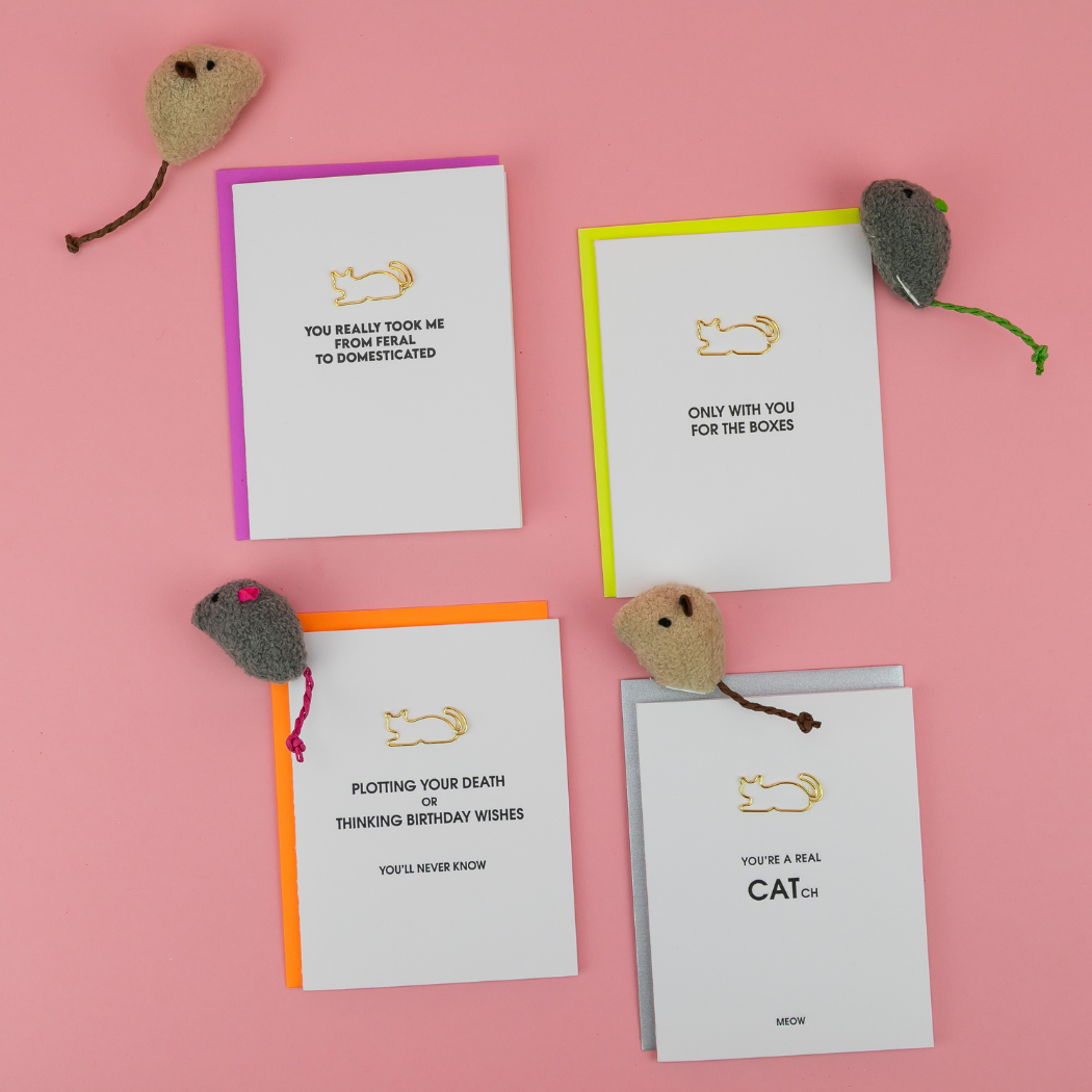 Plotting Your Death or Thinking Birthday Wishes. You'll Never Know - Cat Paper Clip Letterpress Card