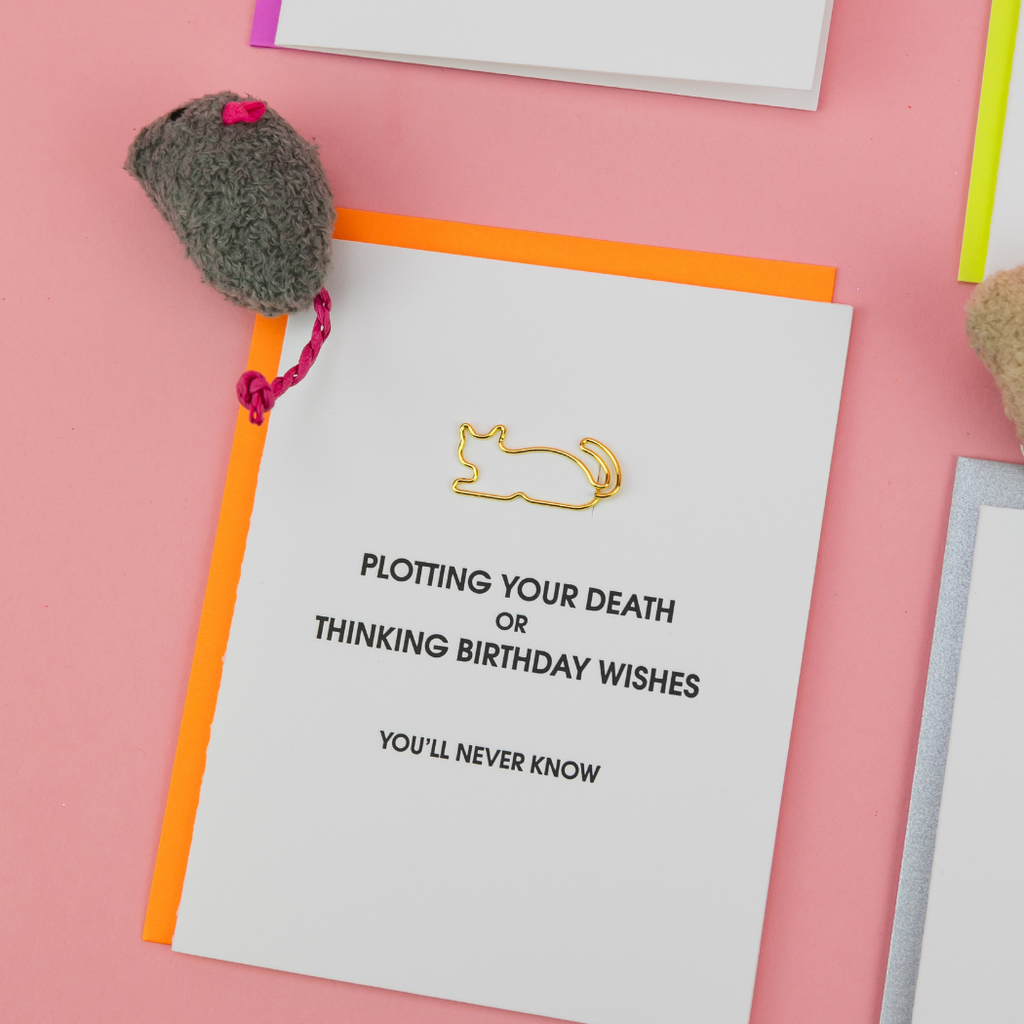 Plotting Your Death or Thinking Birthday Wishes. You'll Never Know - Cat Paper Clip Letterpress Card
