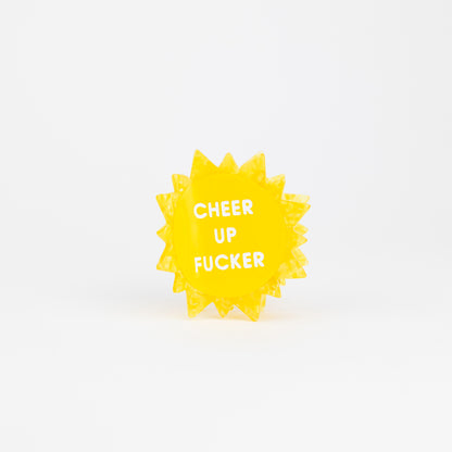 Cheer Up Fucker - Sun - Acetate Hair Claw Clip